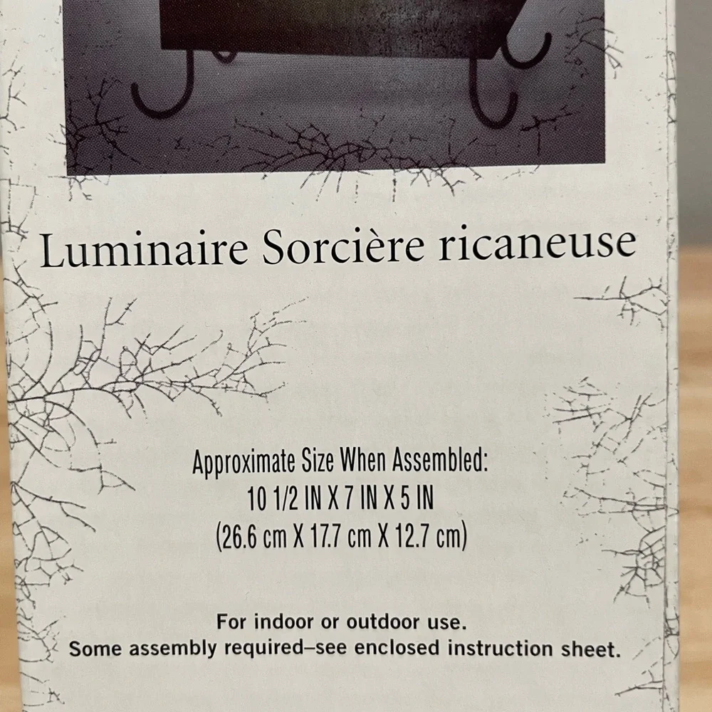 ❤️‍🔥3/$27❤️‍🔥Hallmark HALLOWEEN Cackling Witch Luminary - Indoor/Outdoor